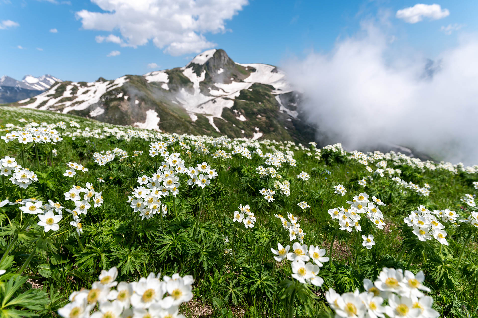 Фото для tours/summer